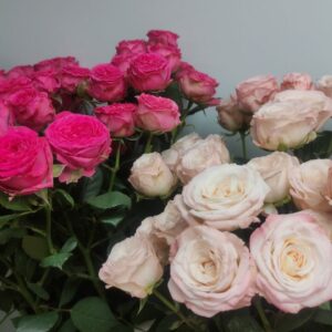 Розы (Копировать)